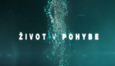 Život v pohybe