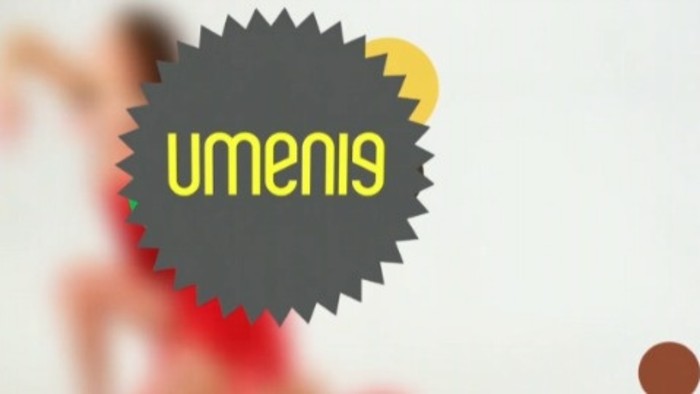 Umenie 2013