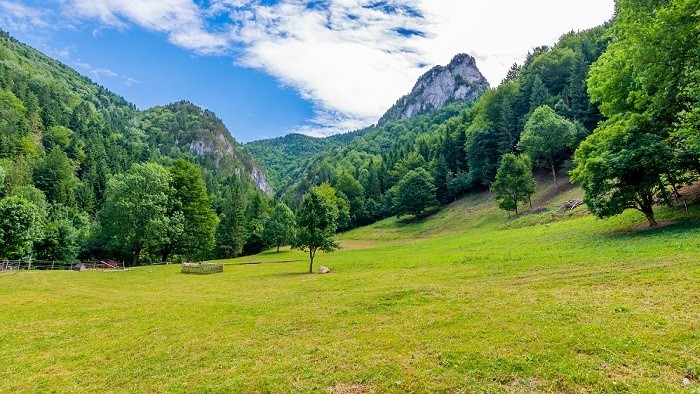 Malá Fatra, scenéria