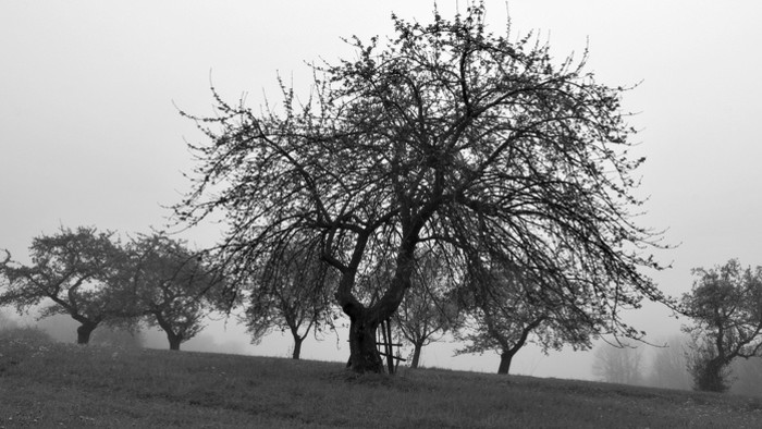 Štefan Králik: Trasovisko (1954)