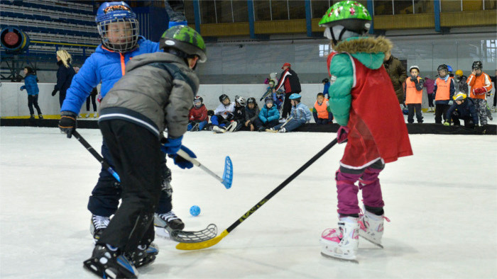 Sport Academies: Boost for Slovak ice hockey?