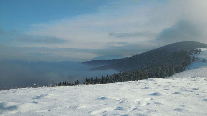 DSCN3081.JPG