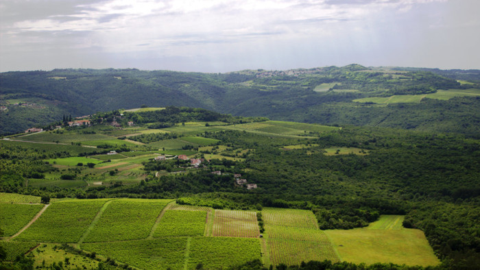 Výhľad z  mestečka Motovun.jpg