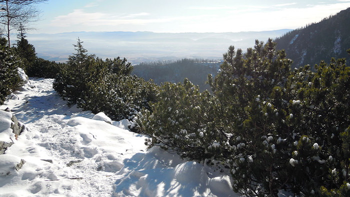 DSCN4619.JPG