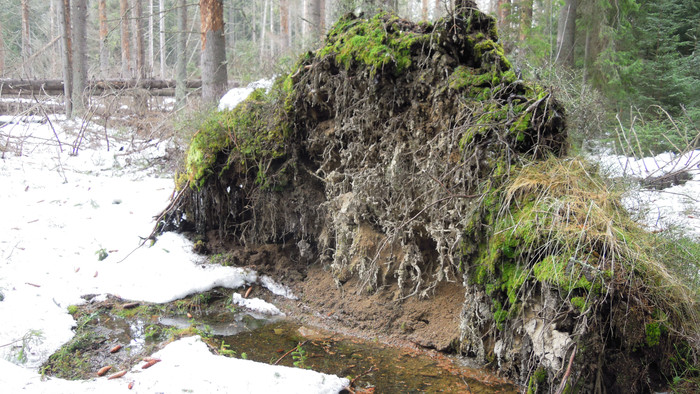 S Erikom Balážom nad Liptovskou Kokavou