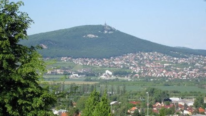 El bosque estepa de Zobor.