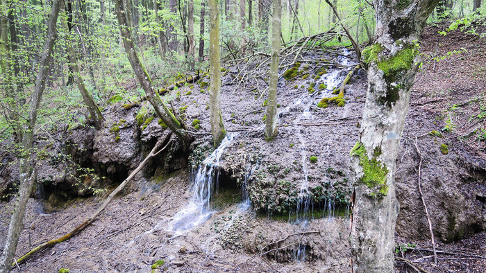 Lesnícky náučný chodník Bolešov – Krivoklát