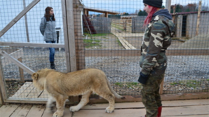 Zoo Kontakt Liptovsky Mikulas 1_Katrin Litschko.JPG