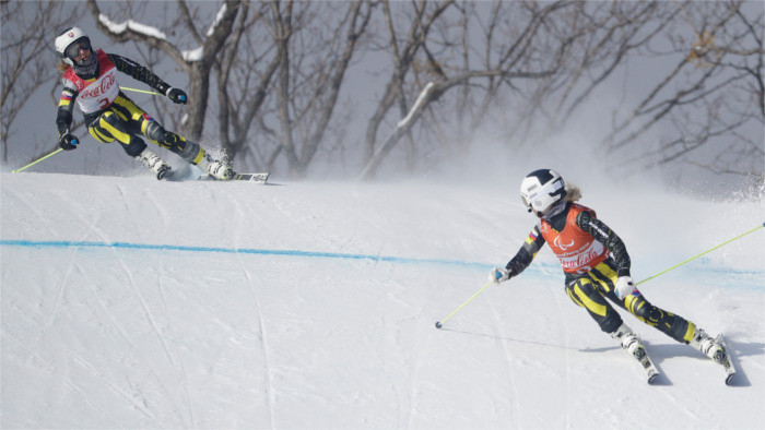 Winter Paralympic Games 2018