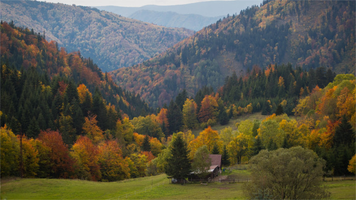 Ročné obdobia v divočine