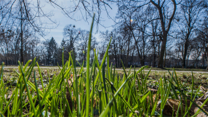 Green Thursday: Different shades of green