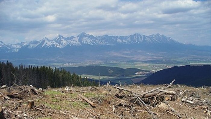 Kozí kameň (1255 m.n.m)