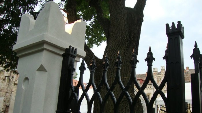 detail-zrekonstruovanej-brany