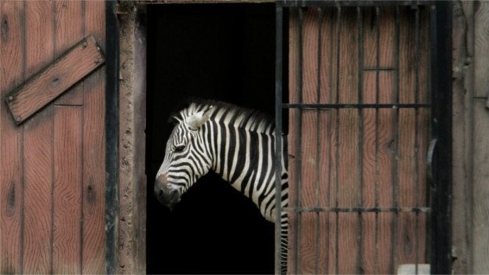 60. výročie Bojnickej zoologickej záhrady