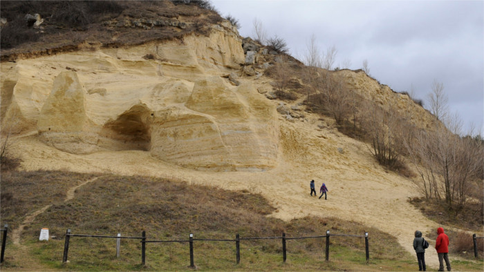 Insektenparadies, Labyrinth und Versteinerungen auf dem Sandberg