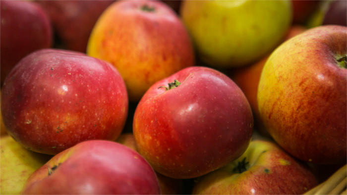 Discovering fruit treasure of White Carpathians