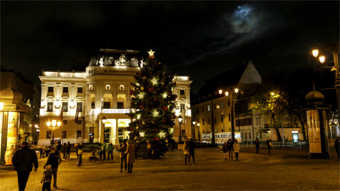 Bratislava ya tiene su árbol de Navidad