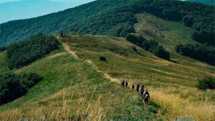 Od ovečky po gubu