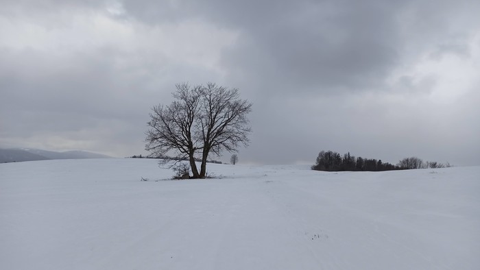 Rádiovíkend 30. 1. 2021 - pozvánky