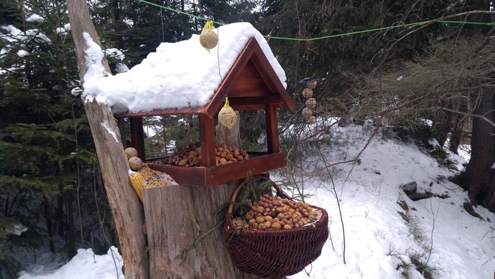 Pri kŕmidlách s autorom portálu „kukaj.sk“