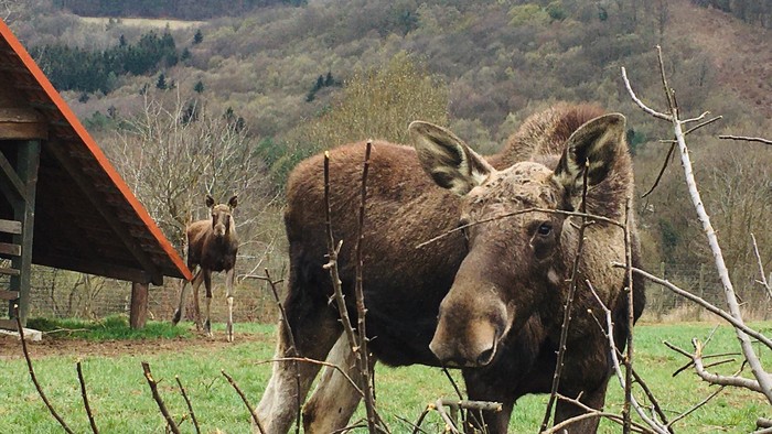 Kam na výlet s deťmi? Objavte jedinečné miesto v prírode