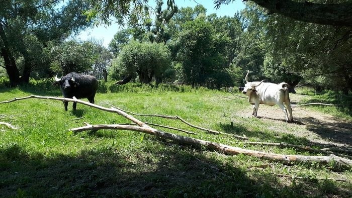 BROZ: Öko-Tourismus und Naturschutz in der Slowakei