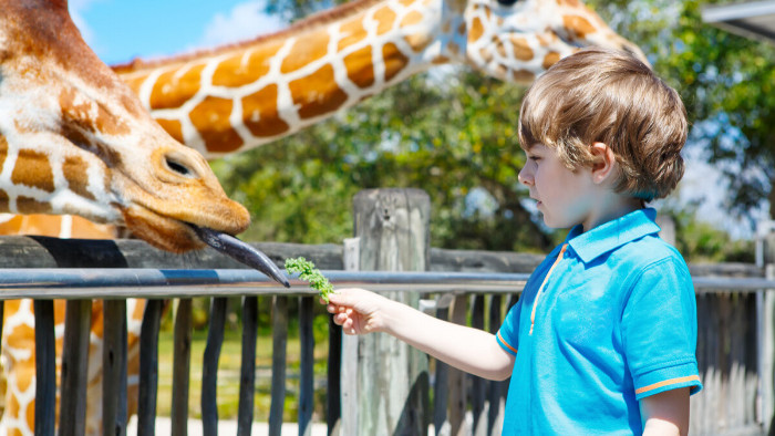 Pravidlá ZOO - Tieto želania návštevníkov sa nikdy nesplnia