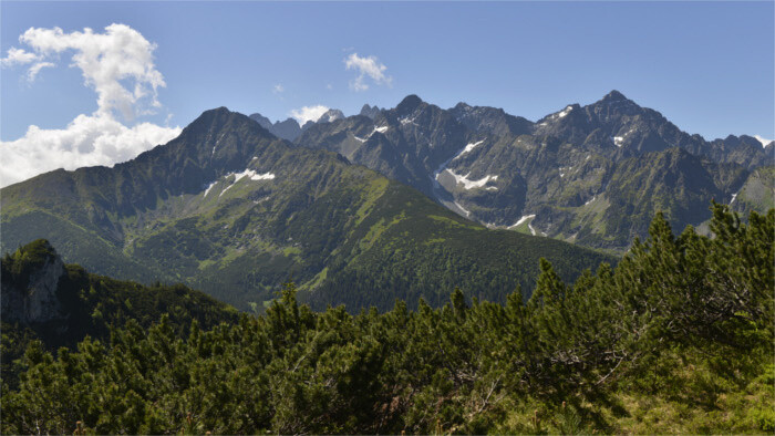 Plainte contre la Slovaquie en raison de la fusillade de bêtes féroces des Tatras