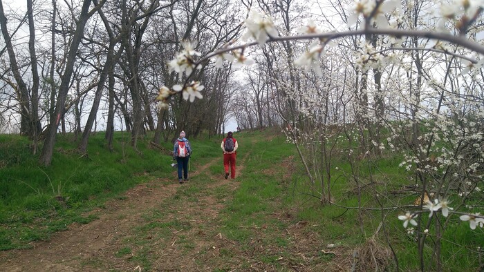 Rádiovíkend 16.4.2022 (pozvánky)