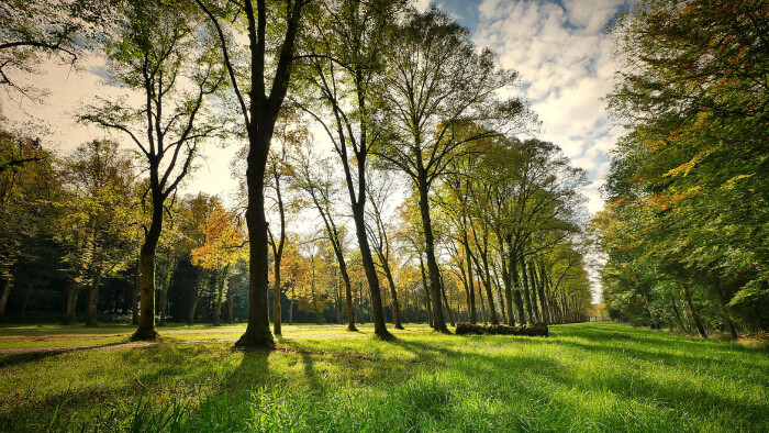 Dobre vedieť - Starý park v Nitre je stále uzatvorený 