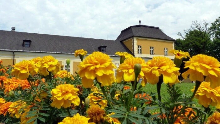 Sozialer Tourismus in der Zips: Menschen mit mentalen Handicaps als Gästeführer