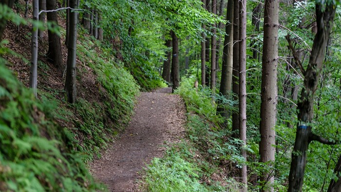 Turistika v katastri obce Vysoká nad Kysucou