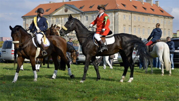 Marchfeldschlösser und Kulturtourismus