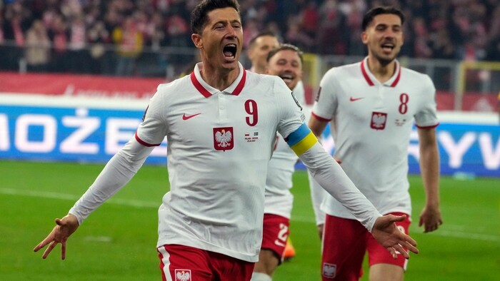 Robert Lewandowski v poľskom drese.jpg