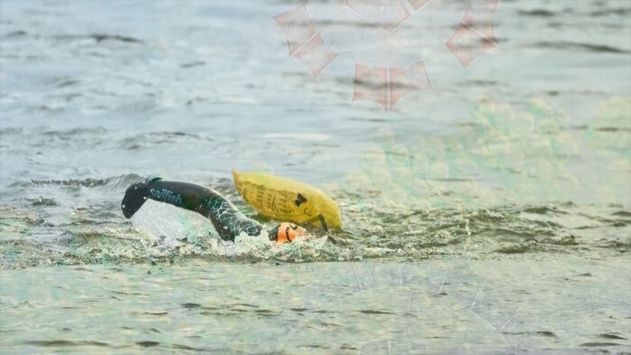 Kunstprojekt im Fluss: Vom Schwimmen zwischen Wien und Bratislava