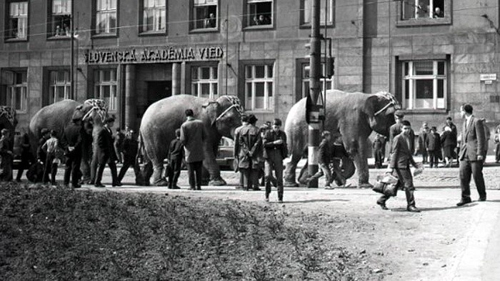 Rozhlasový kabaret Cirkus ide (1977)