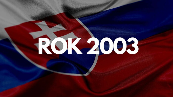 Rok 2003