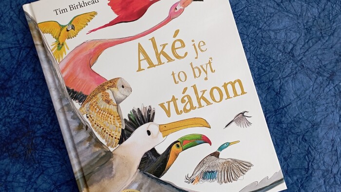 Tim Birkhead: Aké je to byť vtákom