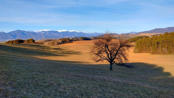 Turčianska záhradka