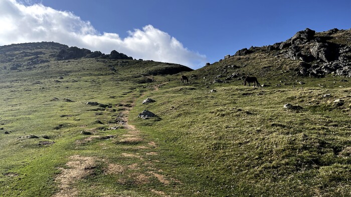 Španielsko – 4 000 kilometrov po svätojakubských trasách – zaujímavé zážitky a skúsenosti