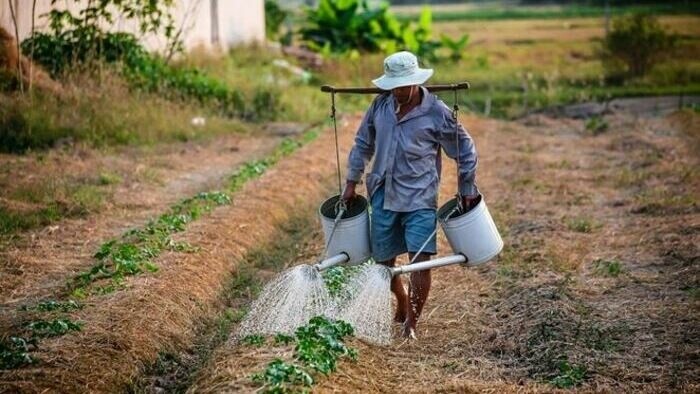 Making agriculture attractive to young people