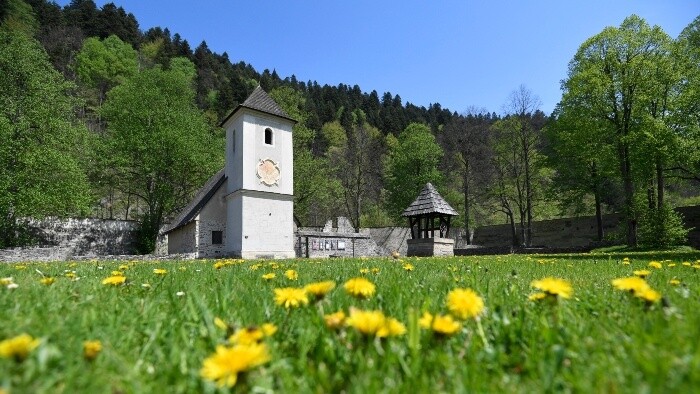 Pieniny