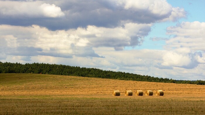 Oľga Feldeková: Rozjímanie nad augustom 