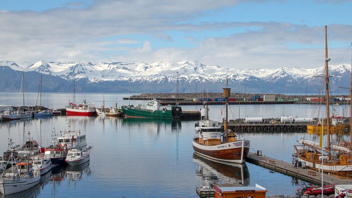 Čo sa oplatí vedieť o Islande: Veľa filmov, veľa coly, žiaden striptíz