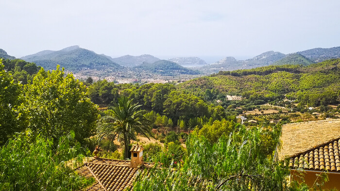 Hustá vegetácia a zvlnený terén na cyklotrase Santa Ponsa - Sant Elm.jpg