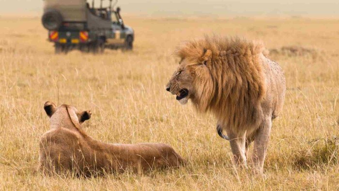 SAFARI: Dobrodružstvo vo svetoznámych národných parkoch 