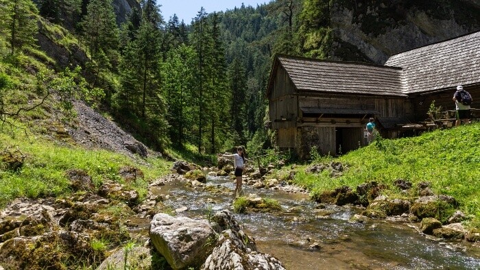 Bilancia leta na Slovensku a nová kampaň