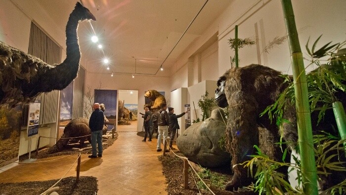 Slovenské národné múzeum oslavuje 130 rokov