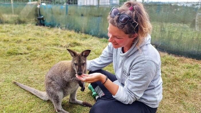 mini kengura wallaby.jpg