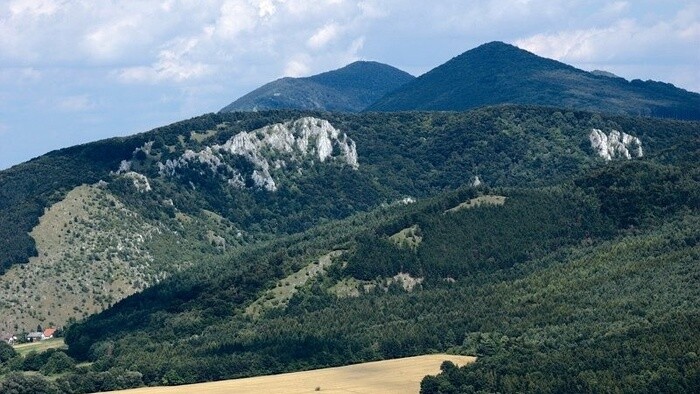 Subir un monte: una bonita costumbre navideña